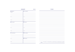 Luxury Emerald 2026 Diary