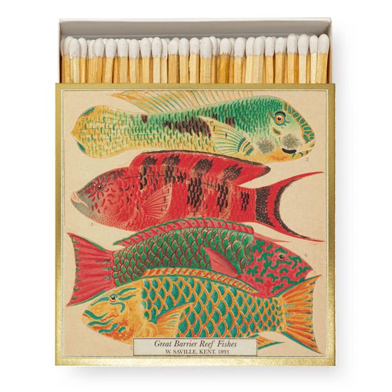 Great Barrier Reef Letterpress Matchbox – Matches for Candles & Lanterns