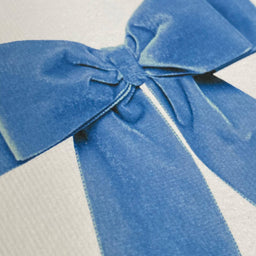 Baby Blue Velvet Bow Greeting Card | Birthday Card