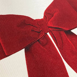 Red Velvet Bow Greeting Card | Birthday Card | Luxury Cards