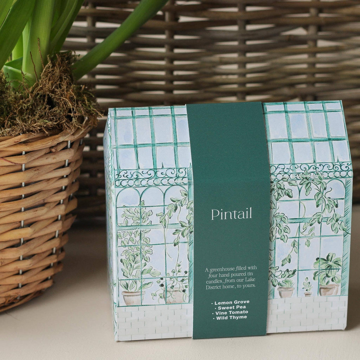 Greenhouse Candle Gift Set