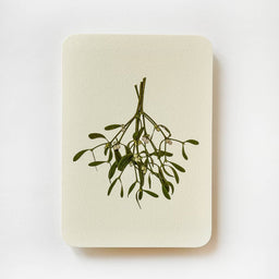 Mistletoe Christmas Greeting Card | Christmas Card