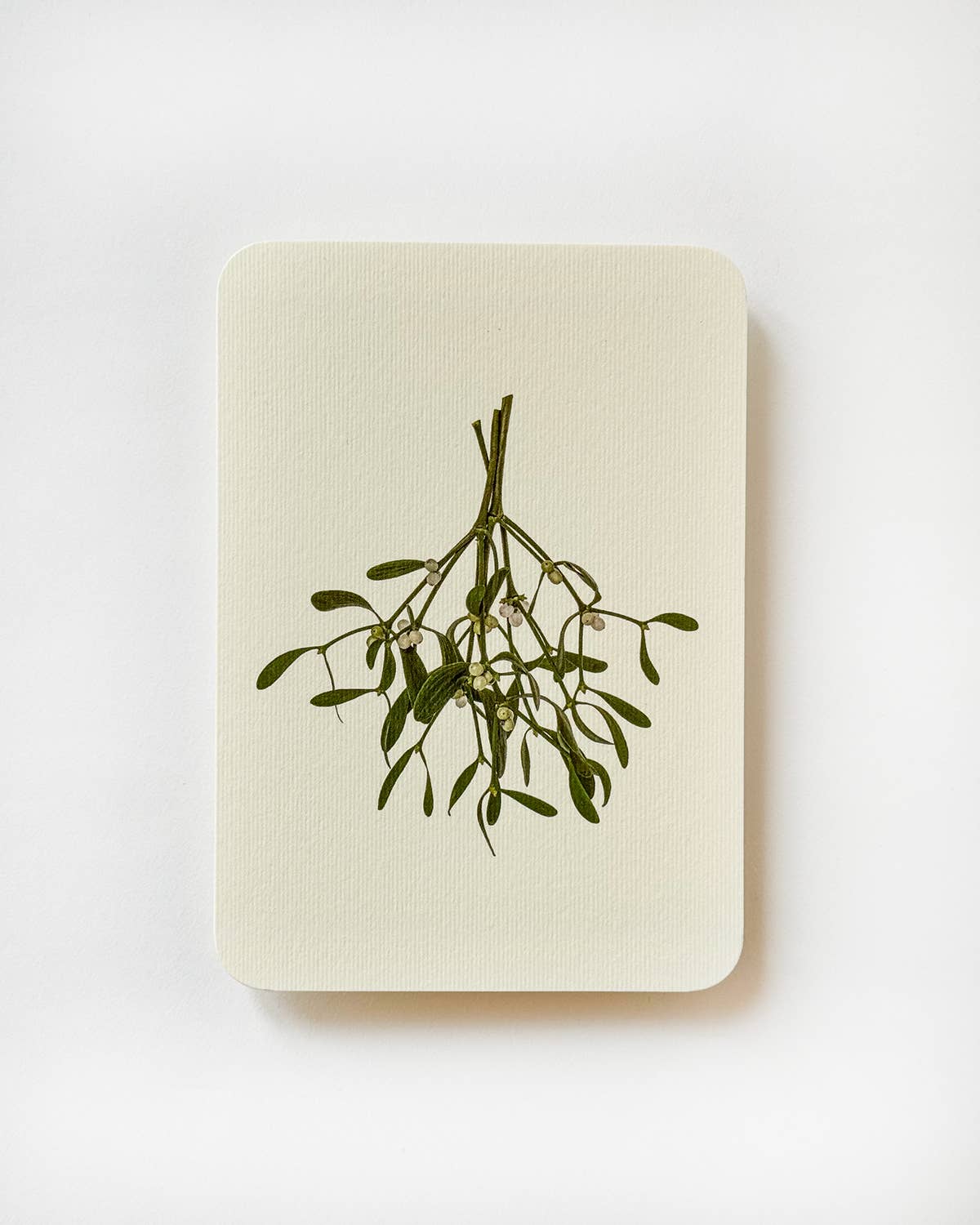 Mistletoe Christmas Greeting Card | Christmas Card