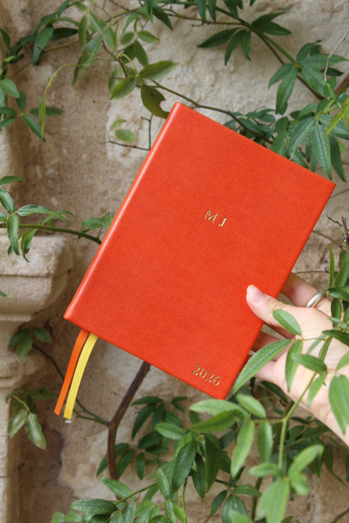 Luxury Tangerine 2026 Diary