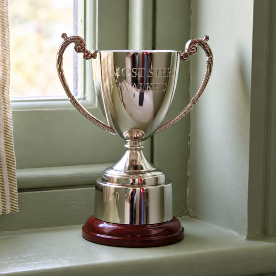 The Challenge Cup – Personalised Nickel Trophy Cup